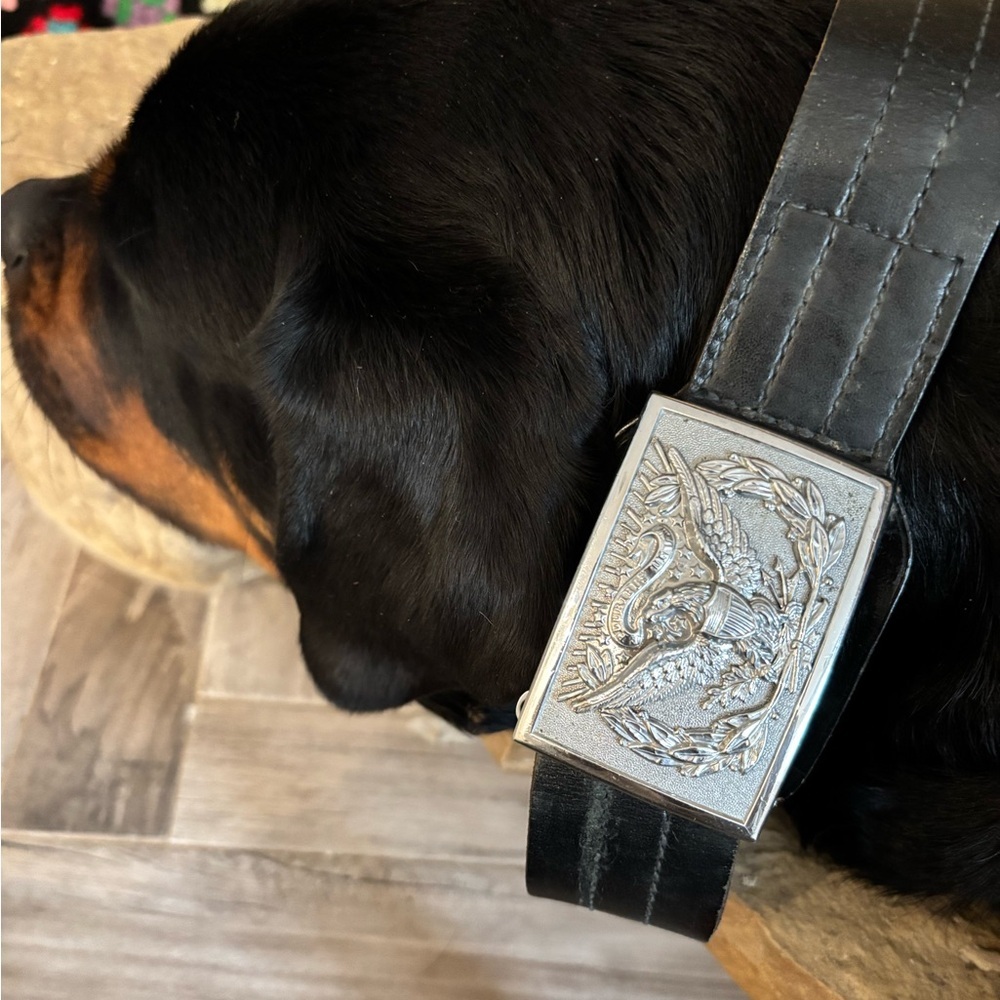 VINTAGE Unisex Silver Engraved Eagle Belt Buckle w/Adjustable Black Leather Belt